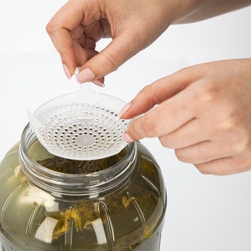 Давление фильтра для маринованного уксуса fi100