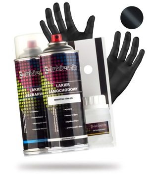 LAKIER SAMOCHODOWY W SPRAYU + BEZBARWNY RENAULT B66 TEB66 GEC