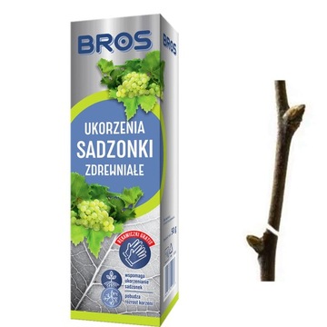 BROS UKORZENIA SADZONKI ZDREWNIAŁE 50G +RĘKAWICZKI