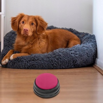 2 кнопки записываемого звука