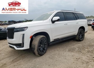 Cadillac Escalade III 2022 Cadillac Escalade Sport 2022 6.2l 6.2 Benzyna 420KM