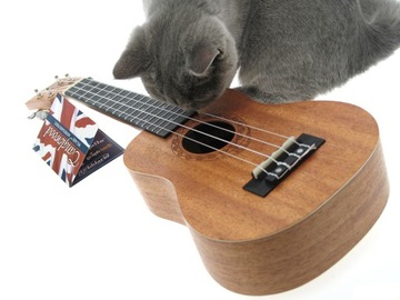 Укулеле сопрано компании Tanglewood, элегантный набор