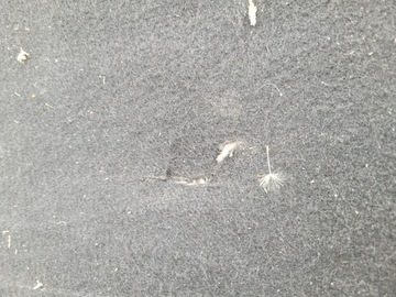 CITROEN C4 I 5D PÓŁKA TYŁ TYLNA POKRYWA BAGAŻNIKA