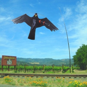 Воздушный змей отпугиватель птиц Скворцы, прочная мачта, 7 м, поворотный