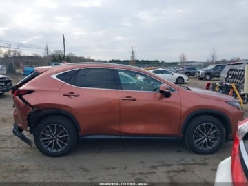 Lexus NX II 2025 Lexus NX 350 Premium 2025 2.4 Benzyna 275KM, zdjęcie 6