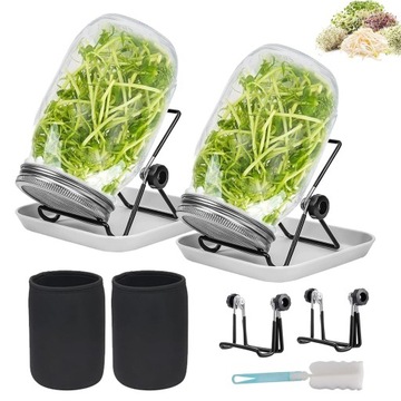 Банка для проращивания Банка для проращивания семян, ростков