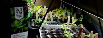 Светодиодное освещение растений с адаптером 39 см