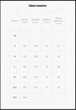 МУЖСКАЯ ФУТБОЛКА NIKE THERMOACTIVE DRY FIRST, размер L