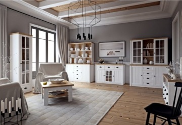 PROWANSJA W1S ВИТРИНА МЕБЕЛЬ ОТДЕЛЕНИЕ ЗЕЛЕНЫЙ