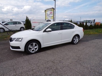 Skoda Octavia III Liftback Facelifting 1.6 TDI 115KM 2019 SKODA OCTAWIA 1.6 TDI 115 KM ZAREJESTROWANA, zdjęcie 3