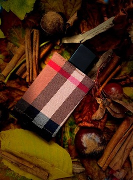 BURBERRY LONDON FOR MEN БУТЫЛКА EDT 100 МЛ + КРЫШКА