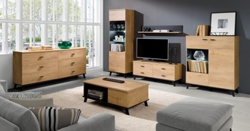 Тумба под ТВ, комод LOFT 120 СМ