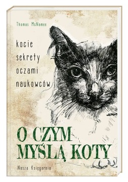 O CZYM MYŚLĄ KOTY KOCIE SEKRETY OCZAMI NAUKOWCÓW
