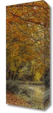 Obraz 20x50cm Ścieżka przy kanale, Assaf Frank