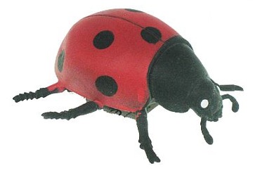 Biedronka z groszkiem 9cm