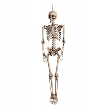 DEKORACJA WISZĄCA KOŚCIOTRUP SZKIELET 160CM 74515