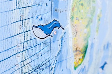 Мир. Настенная карта Польши Unusual Junior