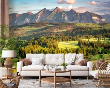FOTOTAPETA 3D PANORAMA TATRY do salonu WINYLOWA