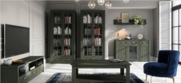 PROWANSJA W1S ВИТРИНА МЕБЕЛЬ ОТДЕЛЕНИЕ ЗЕЛЕНЫЙ