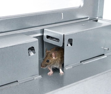 БЕЗОПАСНАЯ И ПРОЧНАЯ ЛОВУШКА СО СТЕКЛОМ НЕ РОЗЫЖАЕТ ОТ 9 СИЛЬНОСТИ