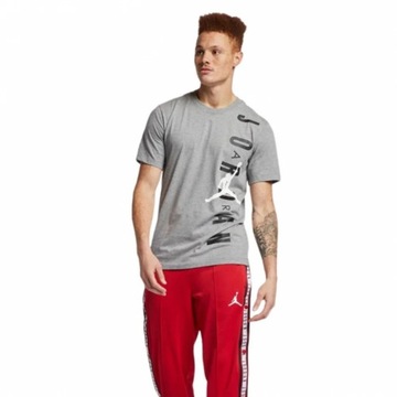 Męska koszulka Nike Jordan Vertical L bawełna szara t-shirt Jumpman