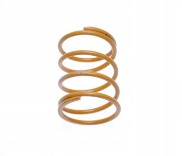 SPRĘŻYNA CENTRALNA SPRZĘGŁA TYŁ TUNING 2T NISKA