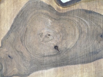 Срез древесины грецкого ореха 77x41x6 см, большой выбор смолы