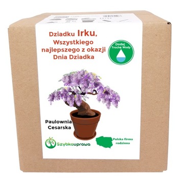 Zestaw BONSAI paulownia Dzień Dziadka Irek