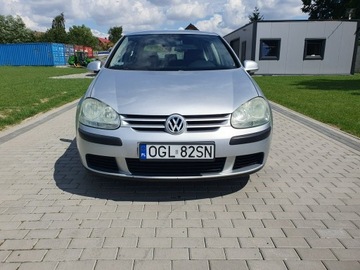 Volkswagen Golf V Hatchback 1.9 TDI 105KM 2004 Volkswagen Golf 1.9tdi 105KM 5 Drzwi Klima Raty, zdjęcie 5