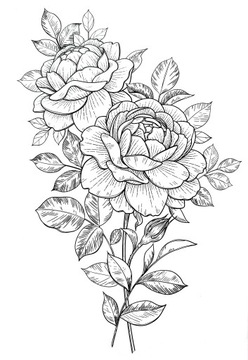 АНТИСТРЕССОВАЯ РАСКРАСКА ДЛЯ ВЗРОСЛЫХ 200 УЗОРОВ МАНДАЛЫ РАСТЕНИЯ ЖИВОТНЫЕ