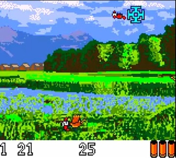 Die Original Moorhuhn Jagd — игра для консоли Nintendo Game boy Color — GBC.