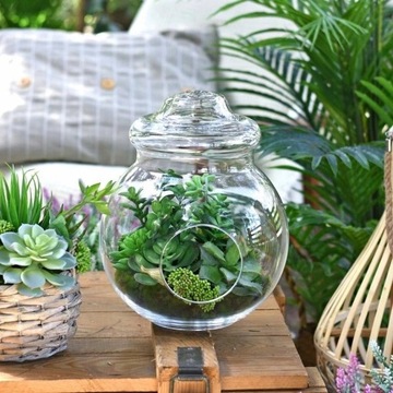 ИСКУССТВЕННЫЕ СУКУЛЕНТЫ 6 ШТ. КОМПЛЕКТ «Сделай сам»