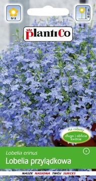 Lobelia Przylądkowa Niebieska - Arletka 0,2g Plant
