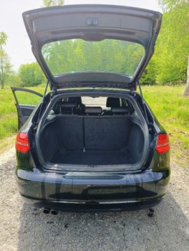 Audi A3 8P Hatchback 3d 1.4 TFSI 125KM 2010 Audi A3 Sportback Audi A3 Sportback 2010 1.4 benzyna 1.4 Benzyna 125KM, zdjęcie 6