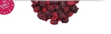 JEŻYNA cała owoce liofilizowane - 20g