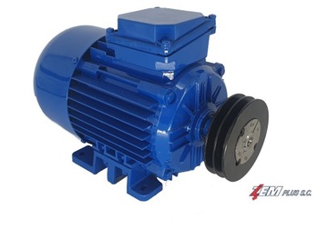 Шкив СПЗ 100/1 + втулка Tapper Lock 1210