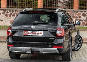 Skoda Octavia III Kombi Facelifting 2.0 TDI 184KM 2019 Skoda Octavia SCOUT 2.0Tdi 184Ps 4x4 Automat Ledy Navi Bixenon Alkantara E, zdjęcie 14