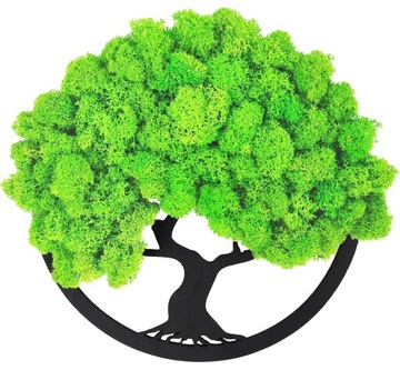 ŁAPACZ SNÓW OBRAZ DRZEWKO SZCZĘŚCIA BONSAI 20 CM