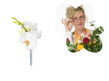 ФЛАКОН ДЛЯ ЖИВЫХ ЦВЕТОВ 10 СМ, НАБОР 5 ШТ.