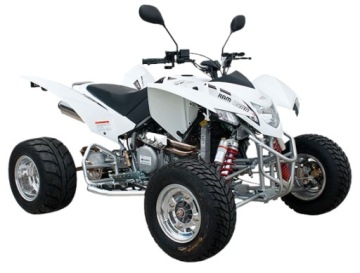 ГАЙКА ШТЫРТЯ НА КОНЦЕ РЫЧАГА КВАДРОЦИКЛА Triton Baja Reactor 450cc (оригинальная деталь)!