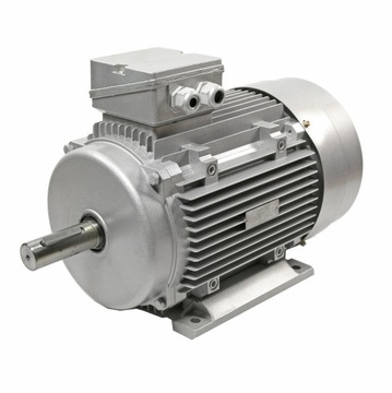 SILNIK ELEKTRYCZNY 18,5KW 2930 OBR MIN 42MM 3FAZOW