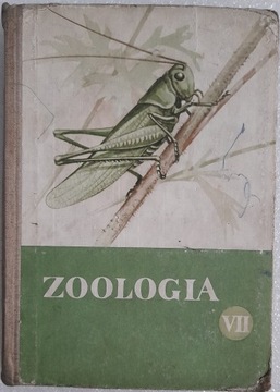 Zoologia VII Z.Wójcik