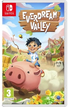 EVERDREAM VALLEY SWITCH