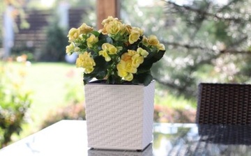 БОЛЬШОЙ УЛИЧНЫЙ ЦВЕТОЧНЫЙ ЦВЕТОК ИЗ РОТЕГА, БЕЛЫЙ, С КРЫШКОЙ ДЛЯ ТЕРРАСЫ