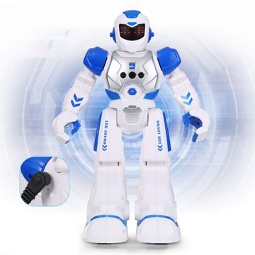 ПРОГРАММИРУЕМЫЙ ИНТЕРАКТИВНЫЙ РОБОТ С ДИСТАНЦИОННЫМ УПРАВЛЕНИЕМ