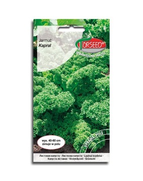 Jarmuż Kapral zielony 1g nasiona sTorseed