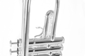 Roy Benson Trąbka w stroju Bb TR-202S