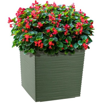 DONICZKA DONICA WKŁAD OSŁONKA ZIELONA 19cm