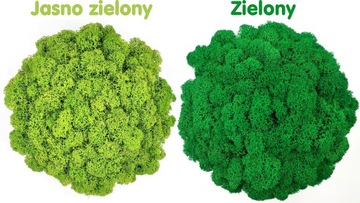 Деревянный вазон с мхом хроботек, мох хроботек в горшке, декор