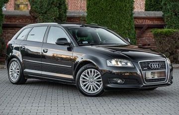 Audi A3 8P Hatchback 3d 1.8 TFSI 160KM 2009 Audi A3 Sportback 1.8 Turbo 160PS Quattro S-line Lift PółSkóry Rej.PL, zdjęcie 25